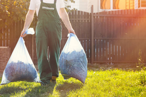 Debris Removal in Cambridge, IL